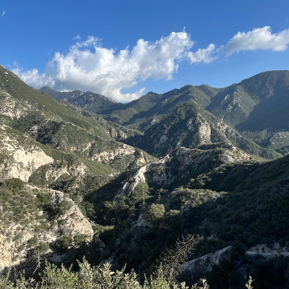 hello :) - Picture 4 of 15